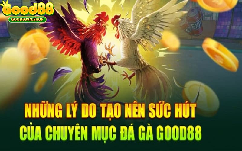 Ưu điểm nổi bật của sảnh đá gà